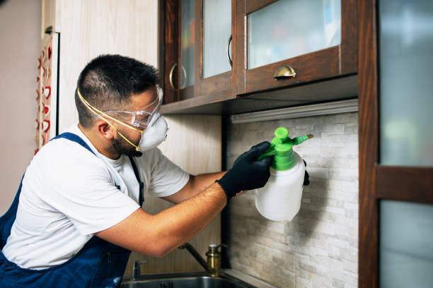 Best Pest Prevention Services  in Loganville, PA