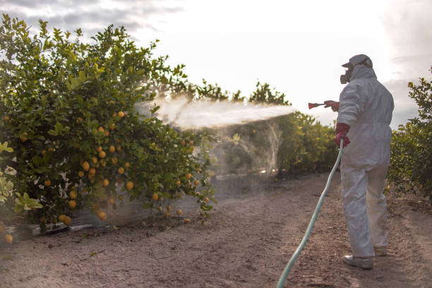 Wasp Removal Services in Loganville, PA