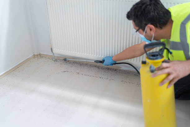 Best Local Pest Control Services  in Loganville, PA
